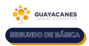 Segundo de Básica